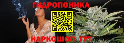 кокс Донской