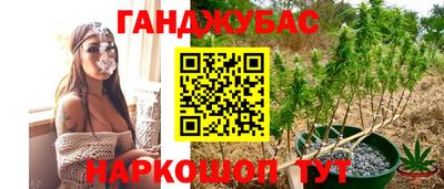 mdpv Дубна