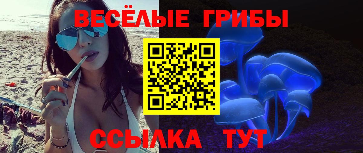 Псилоцибиновые грибы мицелий Мичуринск